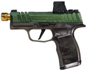 A picture of SIG20300231041120 with USA Gun Store