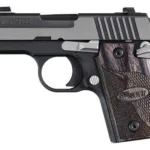 A picture of SIG209389EQAMBI 150x150 jpg with USA Gun Store