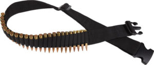 A picture of WABR with USA Gun Store