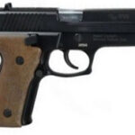 A picture of ZAS20CZ999HEB with USA Gun Store