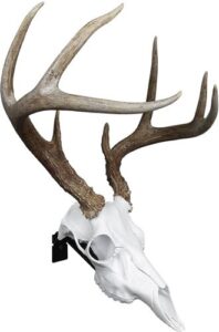 A picture of mmrdp mounted 1 with USA Gun Store