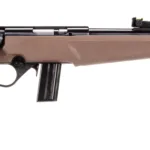A picture of rossirb22l1611fder260f 150x150 jpg with USA Gun Store