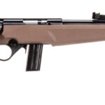 A picture of rossirb22l1611fder260f with USA Gun Store