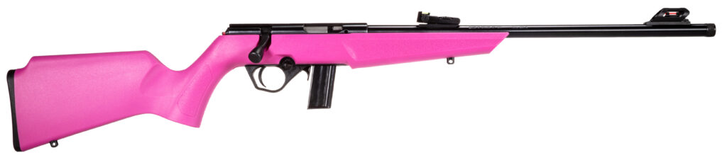 A picture of rossirb22l1611pr8af2 with USA Gun Store