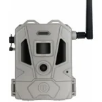 A picture of 1209772 1 150x150 jpg with USA Gun Store