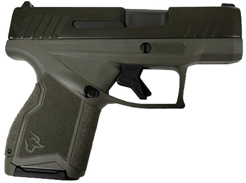 A picture of 180235 with USA Gun Store