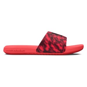 UA Ansa Graphic Slides
