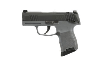 A picture of 36579868168412left044d with USA Gun Store