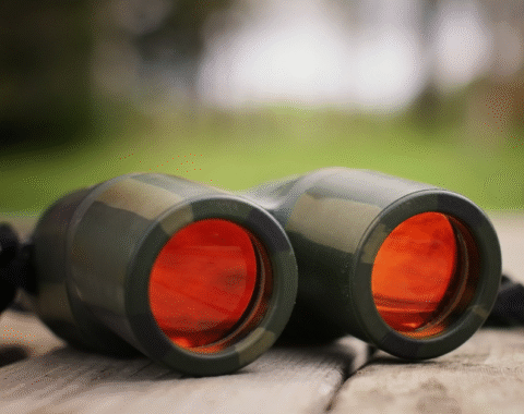 Optics Survival Guide Maintaining Clarity in Rain Fog and Extreme Conditions