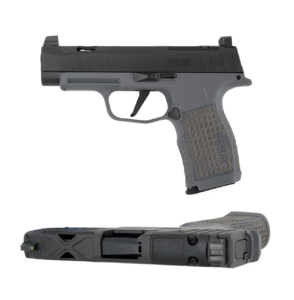 A picture of SSSIGP365996 with USA Gun Store
