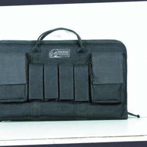 Enlarged Pistol Case