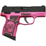 A picture of https3A2F2Fmedia.chattanoogashooting.com2Fimages2Fproduct2FXI640164SKP2Fsig p365 380 bss ms nitron pistol sugar skull medusa pink XI640164SKP right 150x150 jpg with USA Gun Store