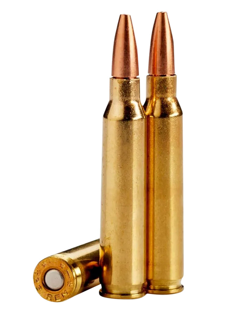 A picture of 149091 with USA Gun Store