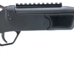 A picture of ROS20SSPB9300BK 150x150 jpg with USA Gun Store