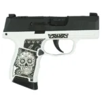 A picture of https3A2F2Fmedia.chattanoogashooting.com2Fimages2Fproduct2FXI681228SSWB2Fp365 9mm 3 1 blk strkr xray3 optic ready 2mag sugar skull xi681228sswb right 150x150 jpg with USA Gun Store