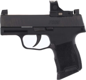 A picture of G3659BXR3PRS LEFT 1 with USA Gun Store