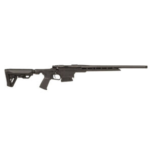 A picture of LSI20HMXL223B with USA Gun Store