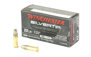 A picture of WNW22LRST 1 with USA Gun Store