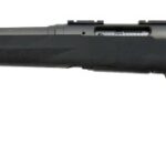 A picture of 1009437 1 with USA Gun Store