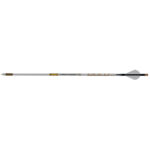 A picture of 1404848 1 with USA Gun Store