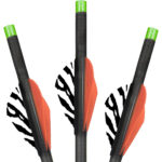 A picture of 80202 1 with USA Gun Store