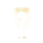 A picture of ENEA46 1 with USA Gun Store