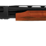 A picture of ESC20HEWS202805W2 with USA Gun Store