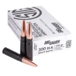 A picture of SSE300H1SBR20 150x150 jpg with USA Gun Store