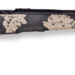 A picture of WBY20MGS01N300PR4B with USA Gun Store