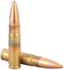 A picture of a300aac3n shells with USA Gun Store