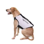 A picture of https3A2F2Fmedia.chattanoogashooting.com2Fimages2Fproduct2FHG341312FHG341313 150x150 jpg with USA Gun Store