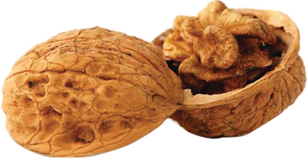 A picture of https3A2F2Fmedia.chattanoogashooting.com2Fimages2Fproduct2FJF752212FJF75221 with USA Gun Store