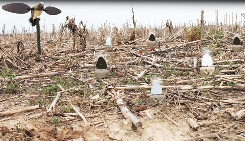 A picture of hw2461 in use 2 with USA Gun Store