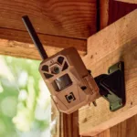 A picture of 1502603 3 150x150 jpg with USA Gun Store