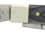 A picture of 151576 with USA Gun Store