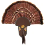 A picture of 1401601 2 150x150 jpg with USA Gun Store