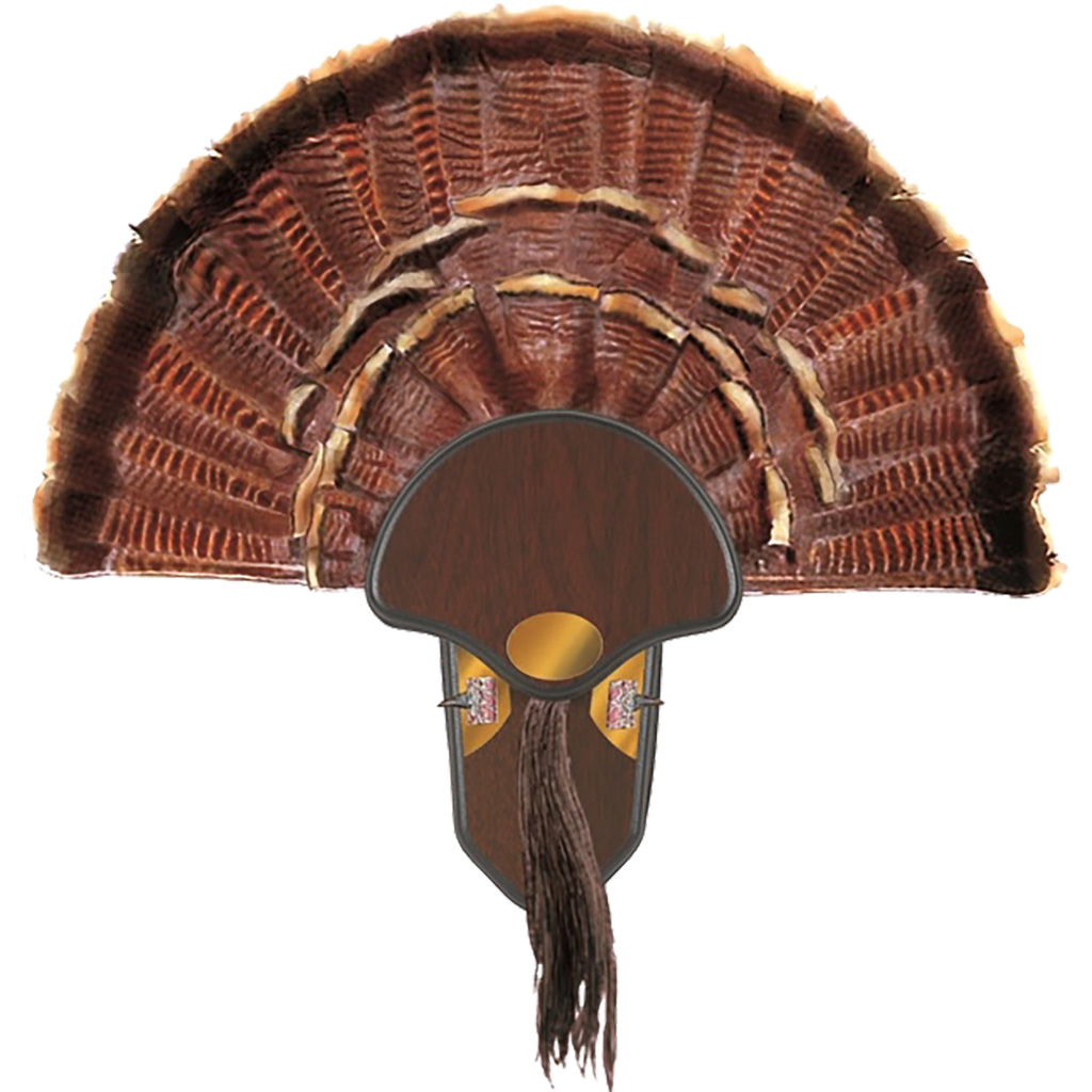 A picture of 1401601 2 with USA Gun Store