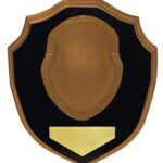 A picture of 155355 with USA Gun Store