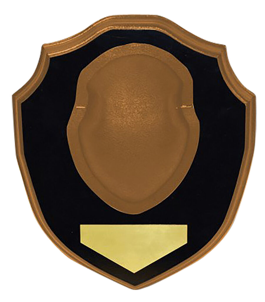 A picture of 155355 with USA Gun Store