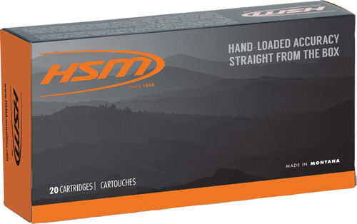 A picture of A303SAVAGE2N with USA Gun Store