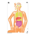 A picture of ALN15656 1 150x150 jpg with USA Gun Store