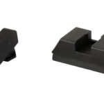 A picture of AMGGL 480 1 with USA Gun Store