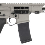 A picture of APF20P148G with USA Gun Store