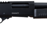 A picture of G311006 1 with USA Gun Store