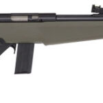 A picture of GRB22L1611OD with USA Gun Store
