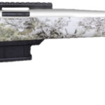 A picture of LSI20HMFD22ARCWTSNW with USA Gun Store