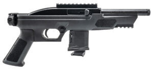 A picture of ROS20RS22P6BKSB with USA Gun Store