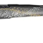 A picture of WBY203WAST65CMR2B with USA Gun Store