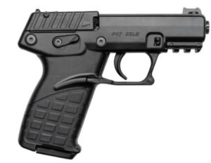 P17 .22 LR 3.8" Black 10-rd