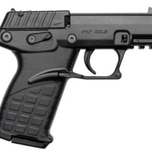 P17 .22 LR 3.8" Black 10-rd